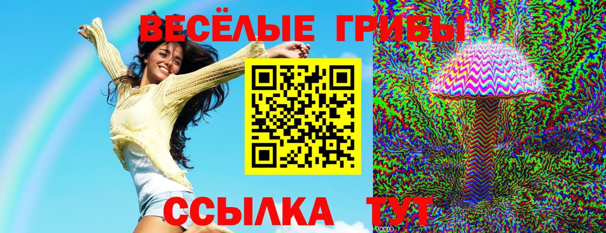 Галлюциногенные грибы Magic Shrooms Нурлат